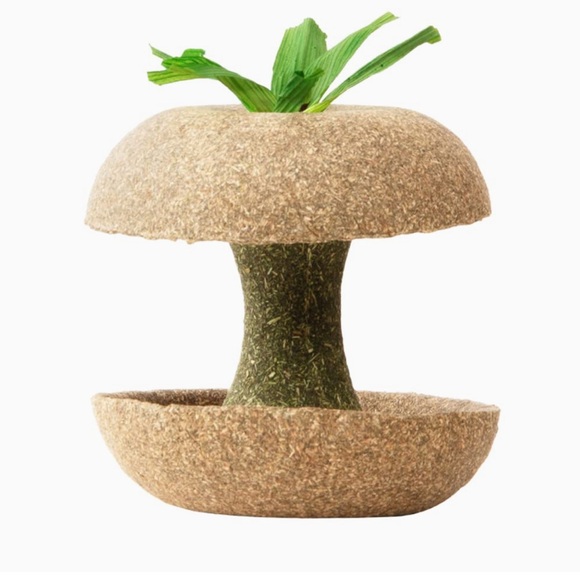 Small Animal Chew Toy Apple - New - Picture 2 of 3